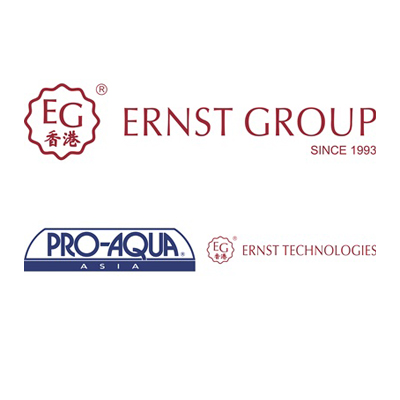 Ernst Group