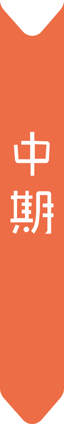 中期