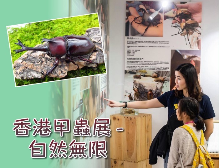 【親子好去處】香港甲蟲展 ‧ 自然無限