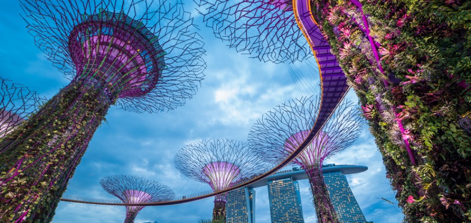 花園城市新加坡 一流教育體系
