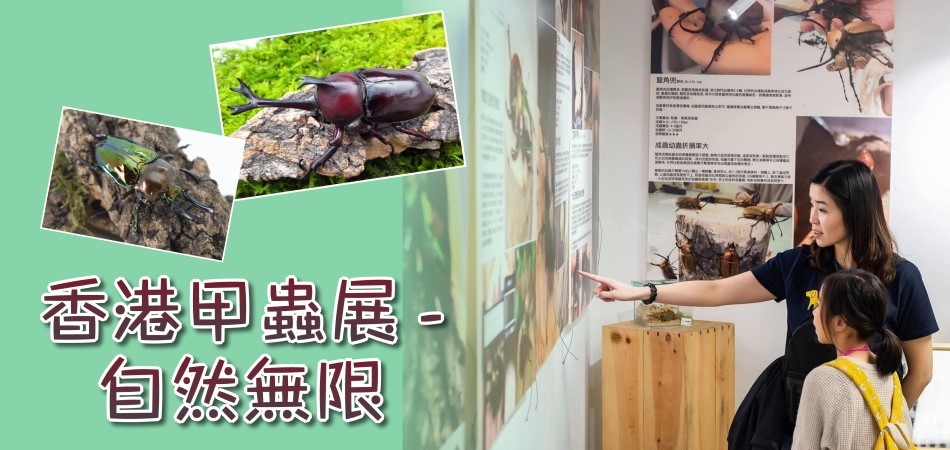 【親子好去處】香港甲蟲展 ‧ 自然無限