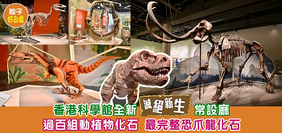 香港科學館｜全新古生物展廳「滅絕．新生」 6大展區展示過百件動植物化石